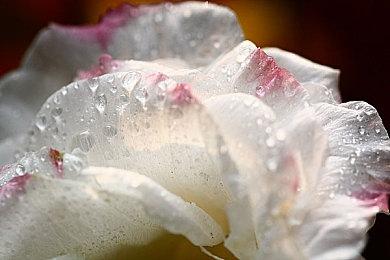 战术动作RPG《网格之力 女神的面具》现已在Steam发售